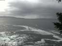 ./images/koeye/fitz-hugh/20201220/fitz-hugh20201220_165501.jpg