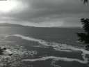 ./images/koeye/fitz-hugh/20201220/fitz-hugh20201220_170001.jpg