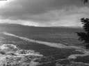 ./images/koeye/fitz-hugh/20201220/fitz-hugh20201220_170501.jpg
