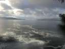 ./images/koeye/fitz-hugh/20201221/fitz-hugh20201221_120006.jpg