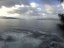 ./images/koeye/fitz-hugh/20201221/fitz-hugh20201221_120502.jpg