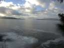 ./images/koeye/fitz-hugh/20201221/fitz-hugh20201221_121002.jpg