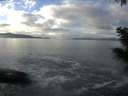 ./images/koeye/fitz-hugh/20201221/fitz-hugh20201221_122002.jpg