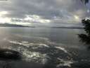 ./images/koeye/fitz-hugh/20201221/fitz-hugh20201221_122502.jpg