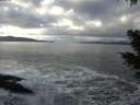 ./images/koeye/fitz-hugh/20201221/fitz-hugh20201221_123002.jpg