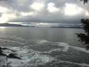./images/koeye/fitz-hugh/20201221/fitz-hugh20201221_123501.jpg