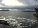 ./images/koeye/fitz-hugh/20201221/fitz-hugh20201221_124001.jpg