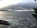 ./images/koeye/fitz-hugh/20201221/fitz-hugh20201221_124501.jpg
