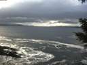 ./images/koeye/fitz-hugh/20201221/fitz-hugh20201221_125001.jpg