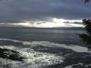 ./images/koeye/fitz-hugh/20201221/fitz-hugh20201221_125501.jpg