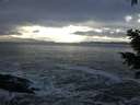 ./images/koeye/fitz-hugh/20201221/fitz-hugh20201221_130001.jpg
