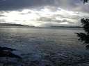 ./images/koeye/fitz-hugh/20201221/fitz-hugh20201221_130501.jpg