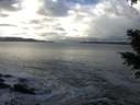 ./images/koeye/fitz-hugh/20201221/fitz-hugh20201221_131001.jpg