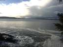 ./images/koeye/fitz-hugh/20201221/fitz-hugh20201221_131501.jpg