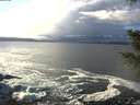 ./images/koeye/fitz-hugh/20201221/fitz-hugh20201221_132001.jpg