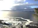 ./images/koeye/fitz-hugh/20201221/fitz-hugh20201221_132501.jpg