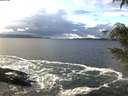 ./images/koeye/fitz-hugh/20201221/fitz-hugh20201221_133001.jpg