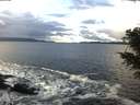 ./images/koeye/fitz-hugh/20201221/fitz-hugh20201221_133501.jpg