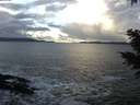 ./images/koeye/fitz-hugh/20201221/fitz-hugh20201221_134001.jpg