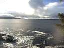 ./images/koeye/fitz-hugh/20201221/fitz-hugh20201221_134501.jpg