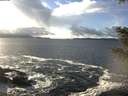 ./images/koeye/fitz-hugh/20201221/fitz-hugh20201221_135001.jpg