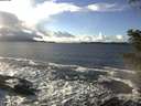 ./images/koeye/fitz-hugh/20201221/fitz-hugh20201221_135501.jpg