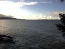 ./images/koeye/fitz-hugh/20201221/fitz-hugh20201221_140001.jpg