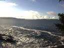 ./images/koeye/fitz-hugh/20201221/fitz-hugh20201221_140501.jpg