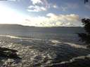 ./images/koeye/fitz-hugh/20201221/fitz-hugh20201221_141001.jpg