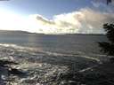 ./images/koeye/fitz-hugh/20201221/fitz-hugh20201221_141501.jpg