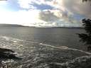 ./images/koeye/fitz-hugh/20201221/fitz-hugh20201221_142001.jpg