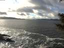 ./images/koeye/fitz-hugh/20201221/fitz-hugh20201221_143002.jpg