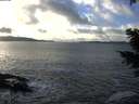 ./images/koeye/fitz-hugh/20201221/fitz-hugh20201221_143502.jpg