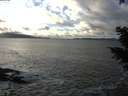 ./images/koeye/fitz-hugh/20201221/fitz-hugh20201221_144002.jpg