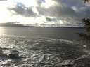 ./images/koeye/fitz-hugh/20201221/fitz-hugh20201221_144502.jpg