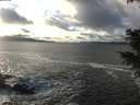 ./images/koeye/fitz-hugh/20201221/fitz-hugh20201221_145002.jpg