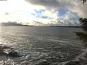 ./images/koeye/fitz-hugh/20201221/fitz-hugh20201221_145502.jpg