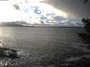 ./images/koeye/fitz-hugh/20201221/fitz-hugh20201221_150002.jpg