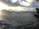 ./images/koeye/fitz-hugh/20201221/fitz-hugh20201221_150502.jpg