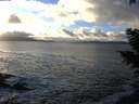 ./images/koeye/fitz-hugh/20201221/fitz-hugh20201221_151002.jpg