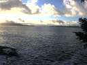./images/koeye/fitz-hugh/20201221/fitz-hugh20201221_151502.jpg