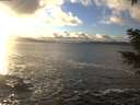 ./images/koeye/fitz-hugh/20201221/fitz-hugh20201221_152502.jpg