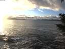./images/koeye/fitz-hugh/20201221/fitz-hugh20201221_153002.jpg