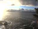 ./images/koeye/fitz-hugh/20201221/fitz-hugh20201221_153502.jpg