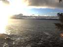 ./images/koeye/fitz-hugh/20201221/fitz-hugh20201221_154002.jpg