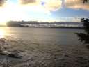 ./images/koeye/fitz-hugh/20201221/fitz-hugh20201221_154502.jpg