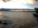 ./images/koeye/fitz-hugh/20201221/fitz-hugh20201221_155001.jpg