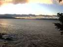 ./images/koeye/fitz-hugh/20201221/fitz-hugh20201221_155501.jpg