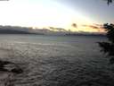 ./images/koeye/fitz-hugh/20201221/fitz-hugh20201221_161001.jpg