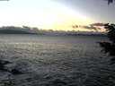 ./images/koeye/fitz-hugh/20201221/fitz-hugh20201221_161501.jpg